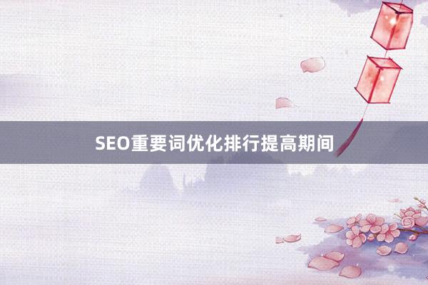 SEO重要词优化排行提高期间