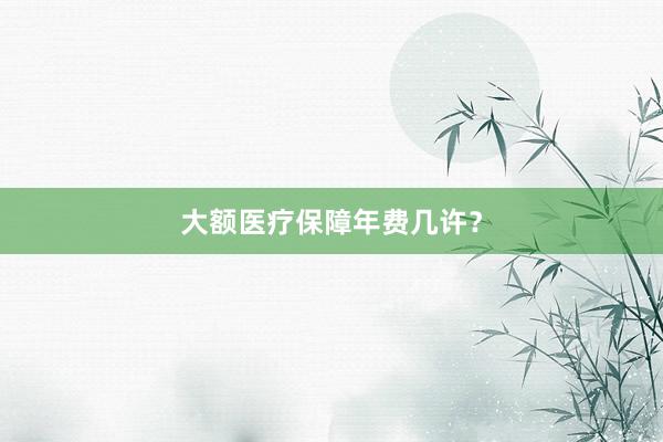 大额医疗保障年费几许？