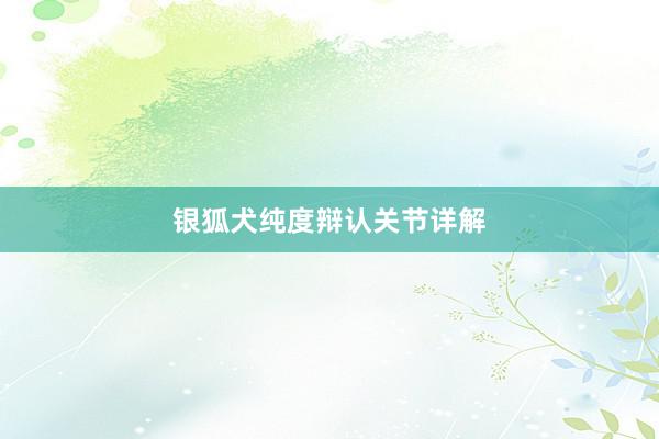 银狐犬纯度辩认关节详解